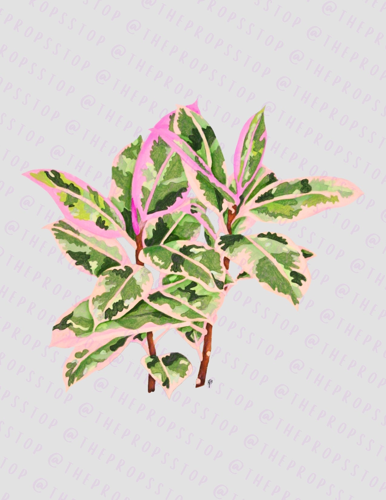 Ficus Elastica Ruby Original Art (Digital File)