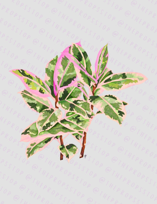 Ficus Elastica Ruby Original Art (Digital File)